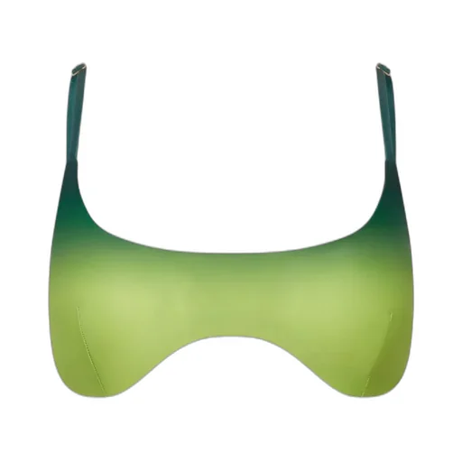 Gradient Bikini Top