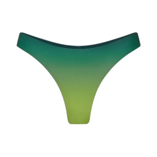 Gradient Bikini Bottoms