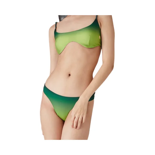 Gradient Bikini Bottoms