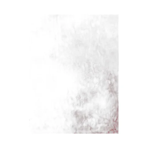 Lace-Detailed Sleeveless Chemise