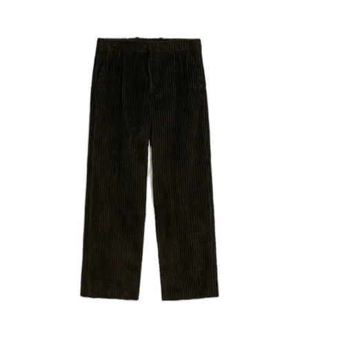 Borrowed Corduroy Chino Pants