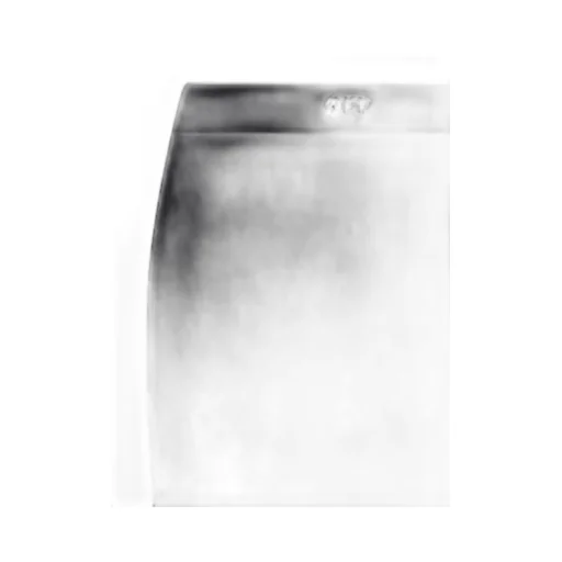 Logo Printed Midi Skirt