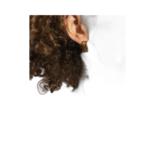 Arrow Earrings