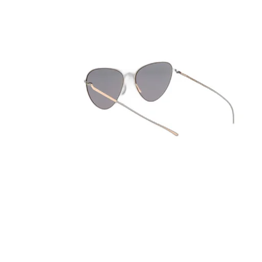 Oval Frame Sunglasses