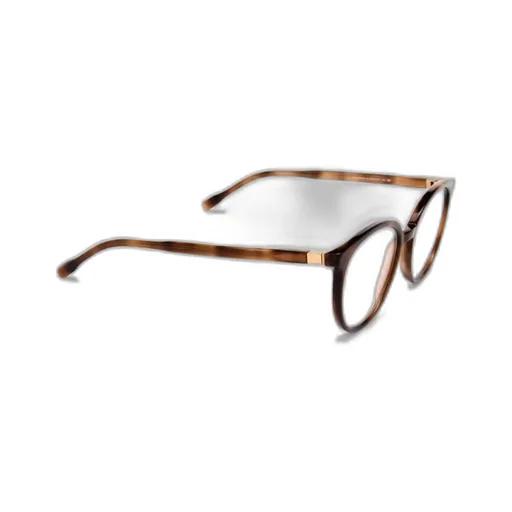 Ayan Round Frame Glasses