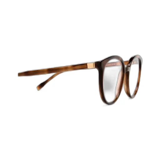 Ayan Round Frame Glasses
