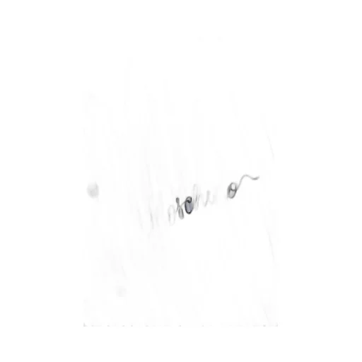 Long Sleeved Dress