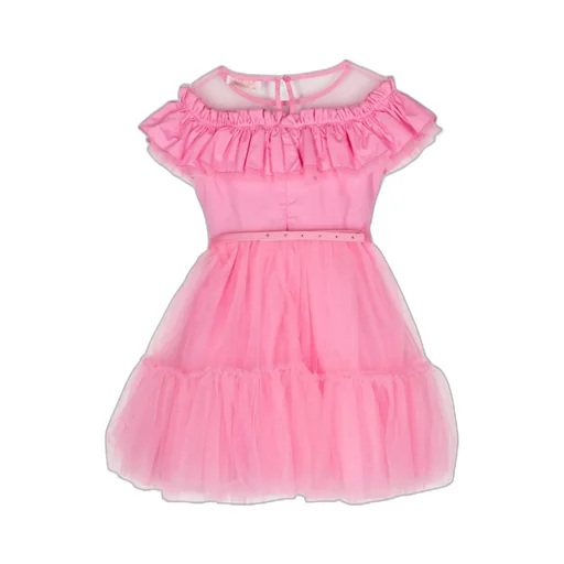 Ruffled-Detail Crewneck Tulle Dress