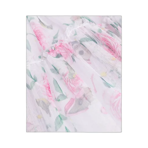 Floral Printed Tulle Dress