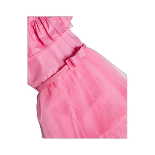 Ruffled-Detail Crewneck Tulle Dress