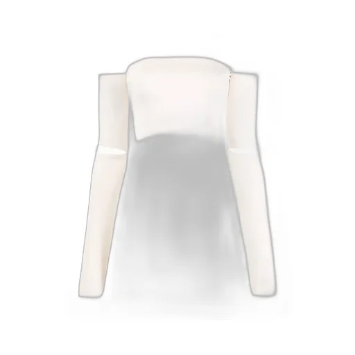 Off-Shoulder Cropped Top