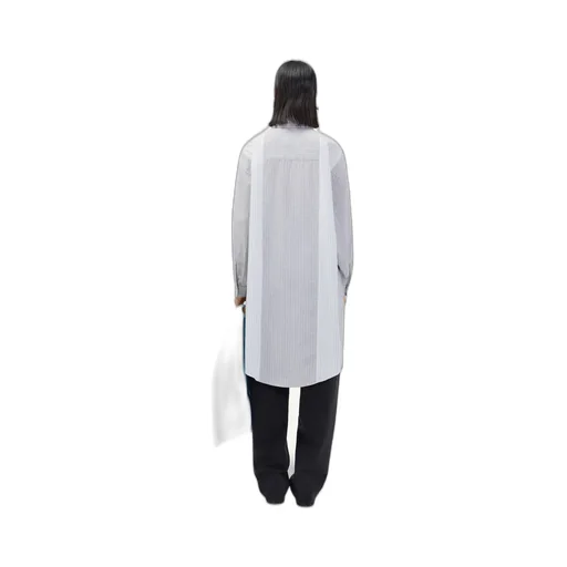 Panelled Pinstripe Buttoned Shirt Dress