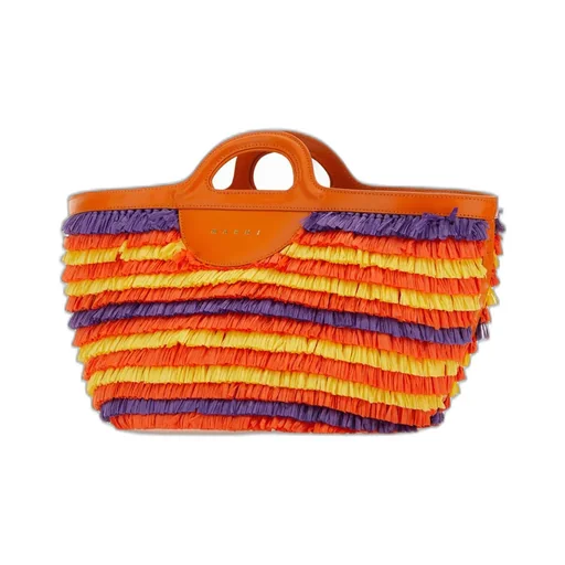 Multicolor Fringed Handbag