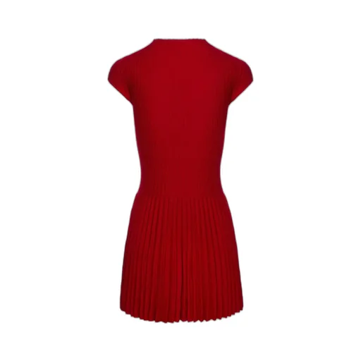 Ribbed Pleated Dress