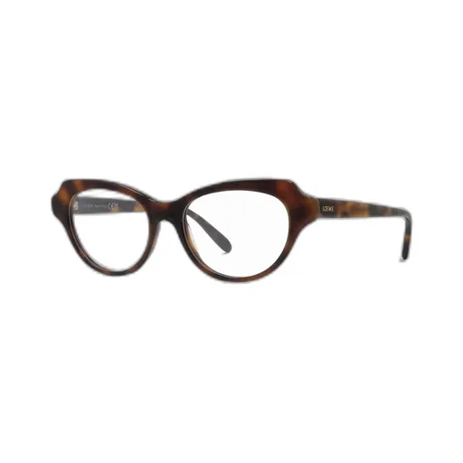 Cat Eye Frame Glasses