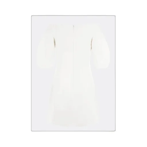 Ruched Short-Sleeved Mini Dress
