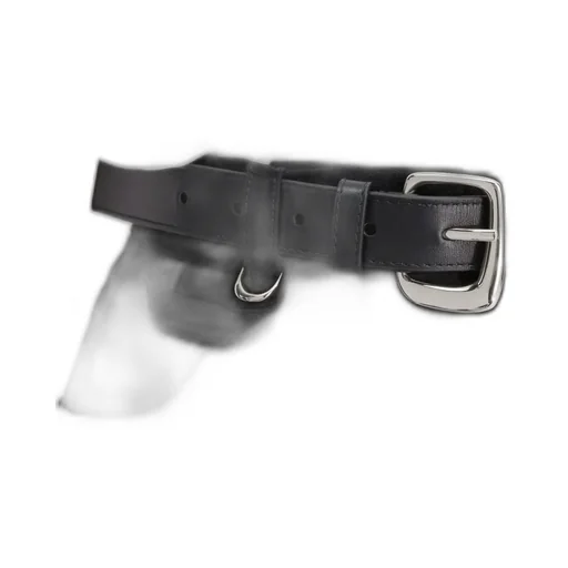 La Ceinture Ovalo J Buckle Belt