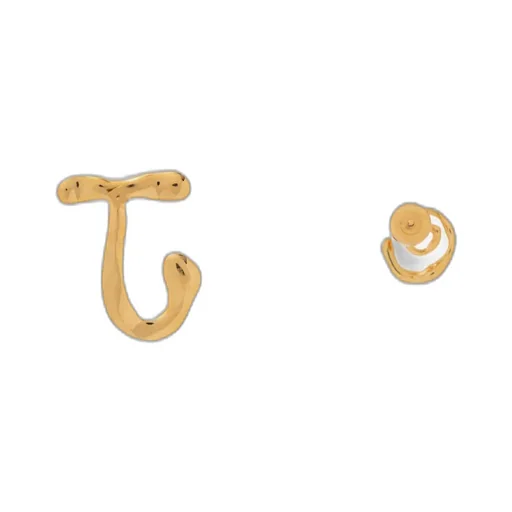 Sculpted Brass Earrings