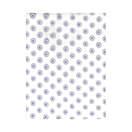 Polka Dot Tie