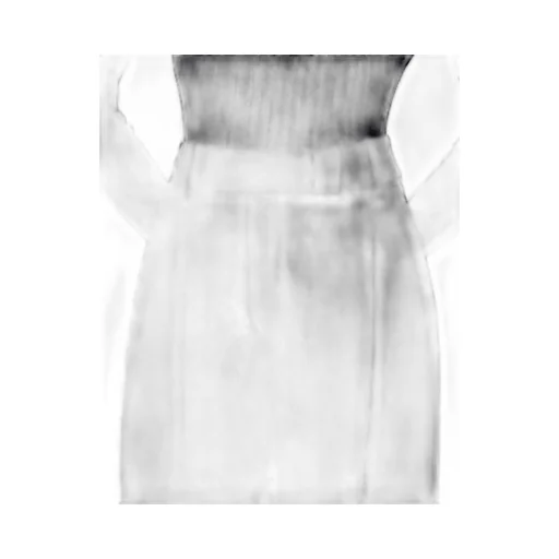 Pleated Trousers