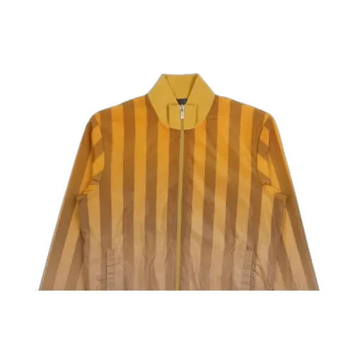 Striped Zipper Casual Jacket