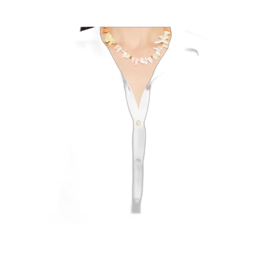 Voile Shirt