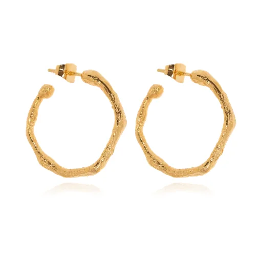 Ring Earrings