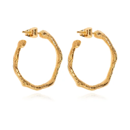 Ring Earrings
