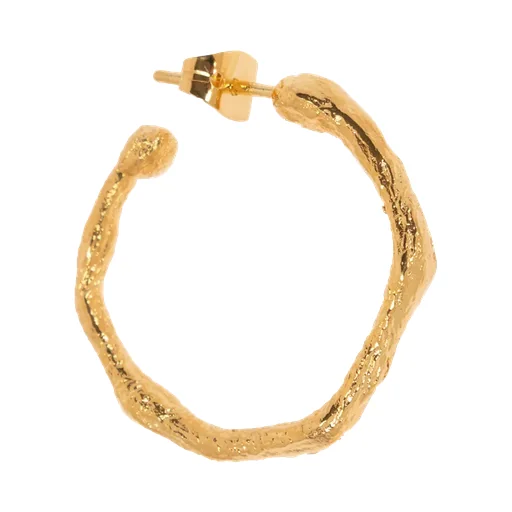 Ring Earrings