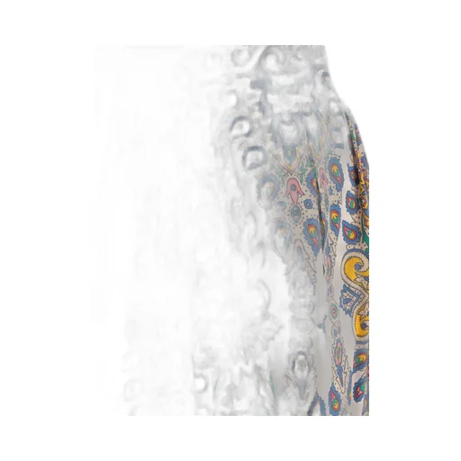 Paisley Printed Midi Skirt