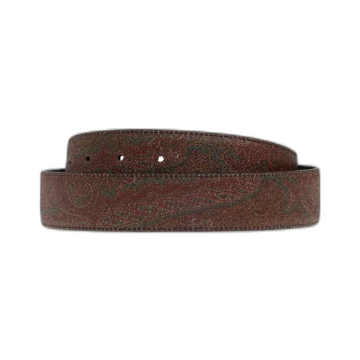 Paisley Printed Buckled Belt