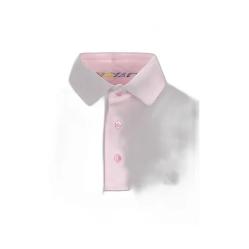 Logo Embroidered Polo Shirt