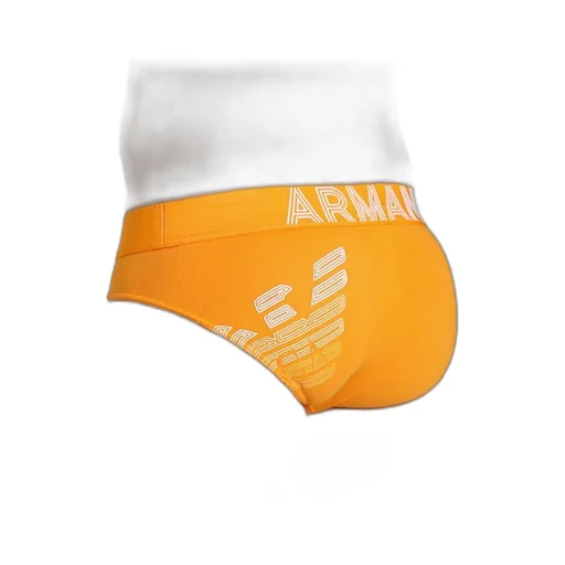 Briefs Pants