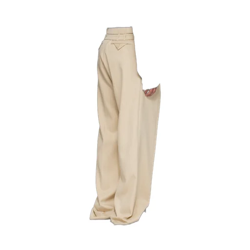 Pleated Trousers