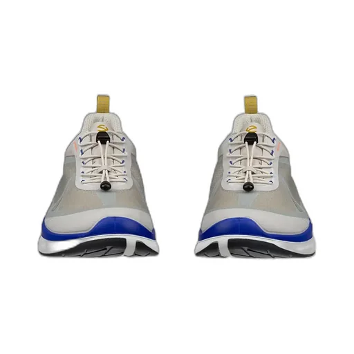Biom Sneakers
