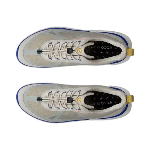 Biom Sneakers