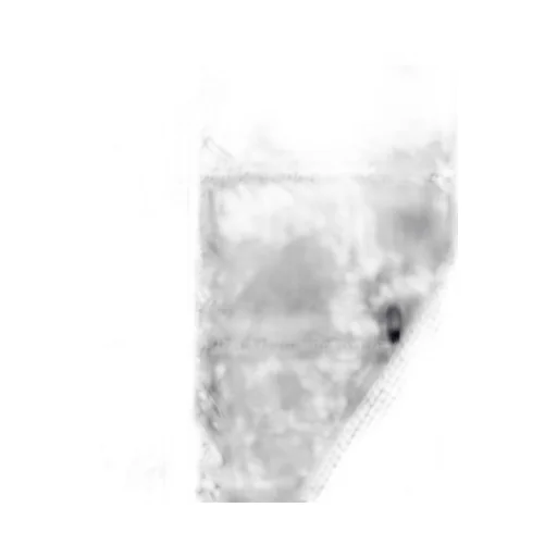 Circuiteer Padded Jacket