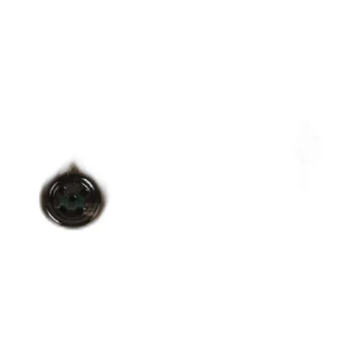 Regular Fit Chino Pants