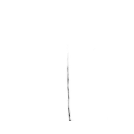 Chiaia Oversize Fit Pants