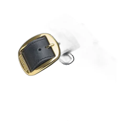 Boston Big Buckle Shearling Slides