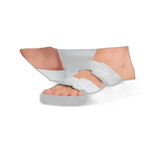 Arizona Buckled Sandals