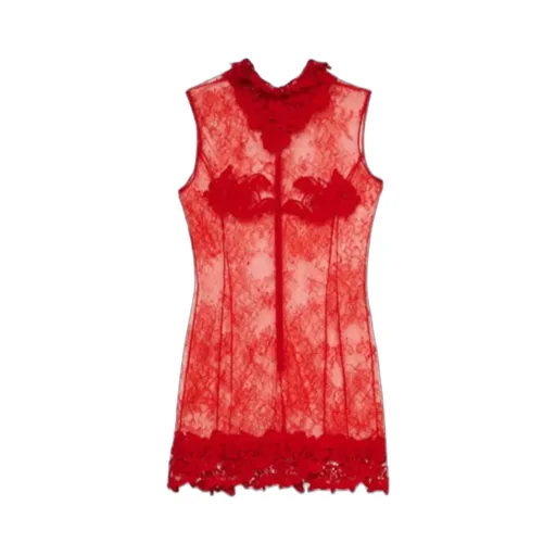 Chantilly Lace Dress