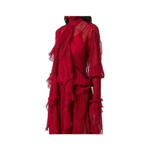 Ruffled Sheer Dress