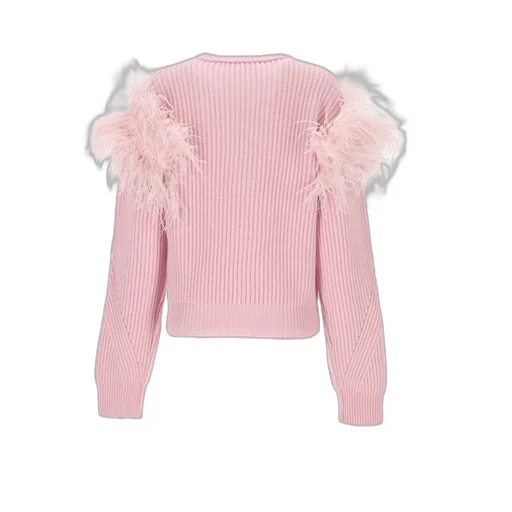 Feather Detailed Crewneck Jumper