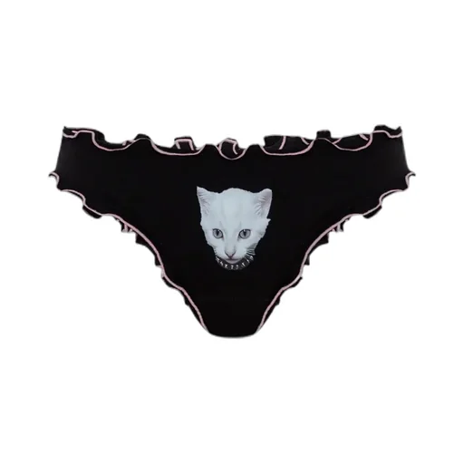 Briefs