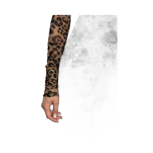 Leopard-Print Ruched Dress