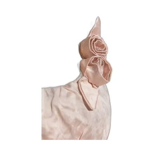 Rose-Appliqué Crinkled-Satin Top