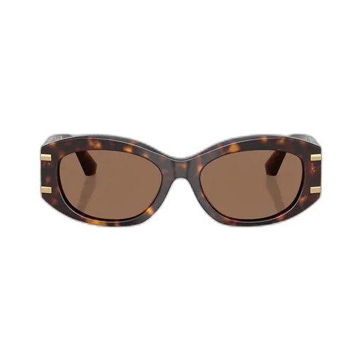 Oval Frame Sunglasses