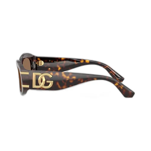 Oval Frame Sunglasses
