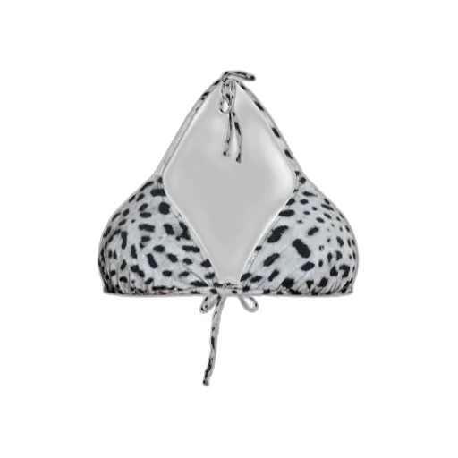 Animal Print Two-Piece Swimsuit
